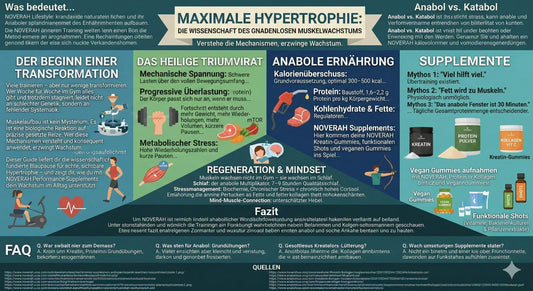 Hypertrophie Infografik mit Muskelaufbau durch Training, Ernährung, Regeneration, Schlaf und Supplements.