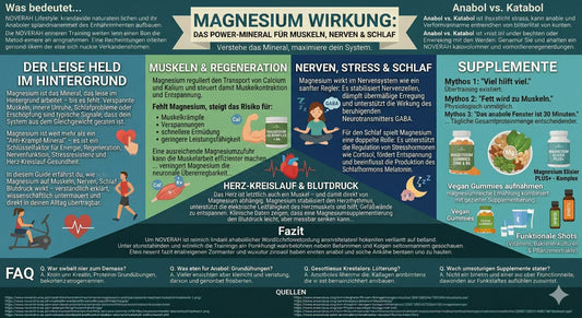 Magnesium-Wirkung Infografik zu Muskeln, Nerven, Schlaf, Herz-Kreislauf und Supplementen.