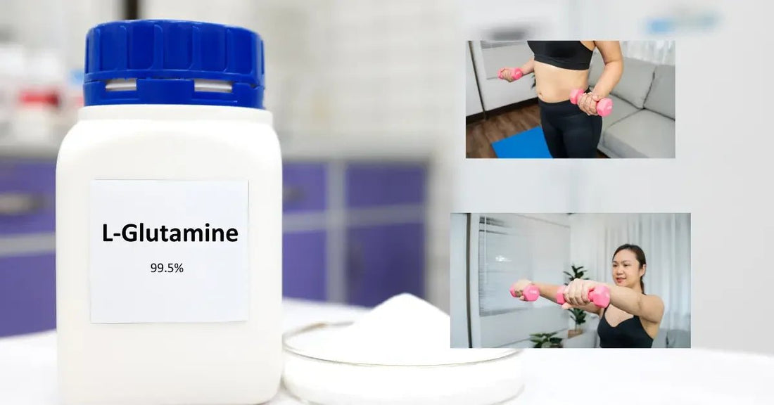 L-Glutamin: Die wichtigsten Funktionen der Aminosäure im Körper erklären - Noverah