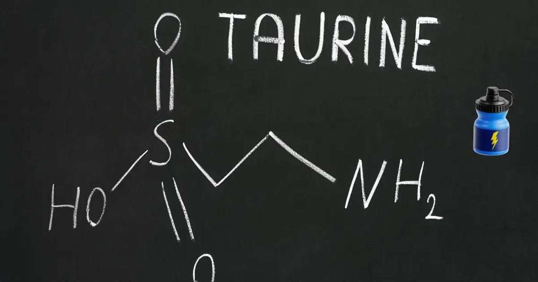 Taurin: Struktur, Eigenschaften und Funktionen im menschlichen Körper - Noverah