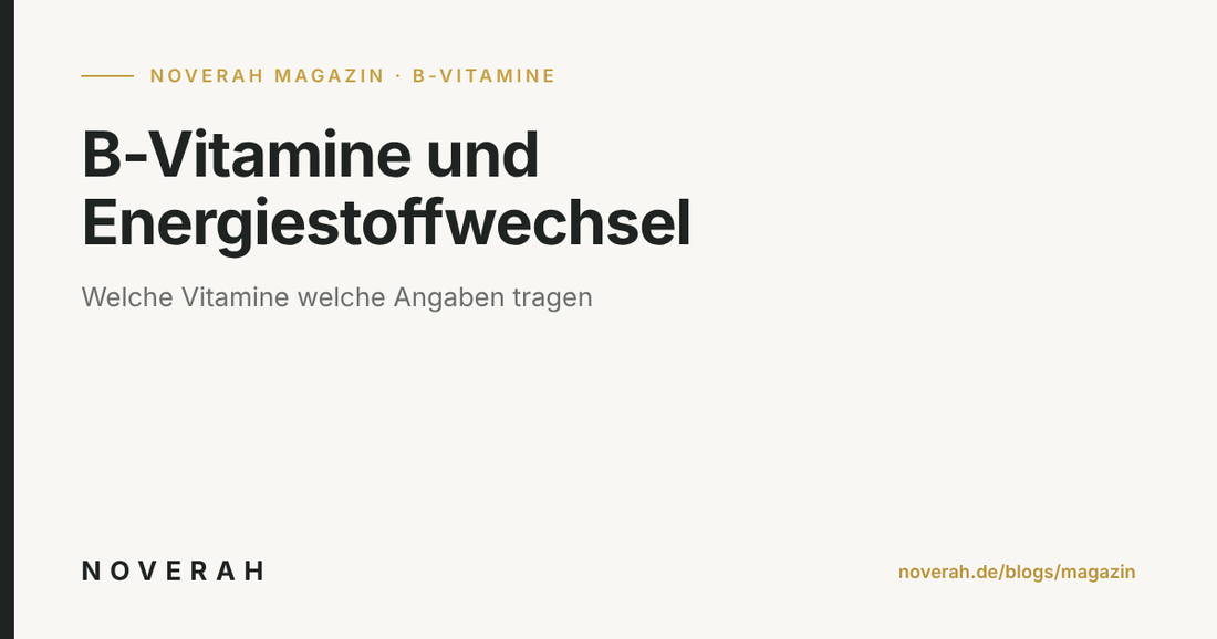B-Vitamine und Energiestoffwechsel: Welche Vitamine welche Rolle spielen