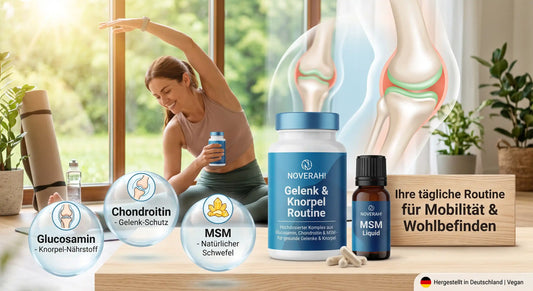 NOVERAH Gelenk & Knorpel Routine – Glucosamin, Chondroitin & MSM im Set. Laborgeprüfte Reinheit. Premium Qualität.